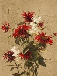Balm et Spiraea, par Ellen Thayer Fisher