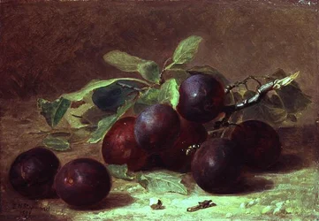Une guêpe reposant sur une branche de prunes Victoria