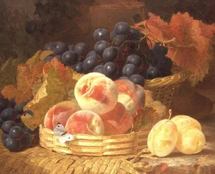 Nature morte avec fruits et papillon