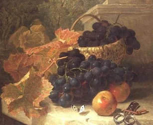 Nature morte avec raisins et ciseaux sur une étagère en pierre