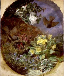 Troglodytes nourrissant leurs petits dans un nid (s. & d. 1876)