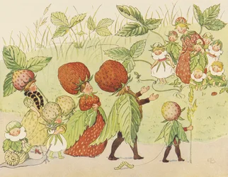 Lasse le Petit dans le jardin - La famille des fraises