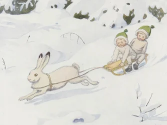 Le lièvre des neiges