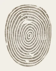 Résumé : Les cernes des arbres