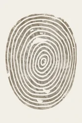Anneaux concentriques de bois