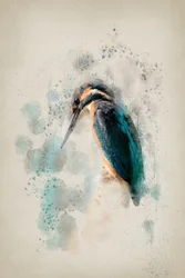 Aquarelle « Martin-pêcheur » aux couleurs vives