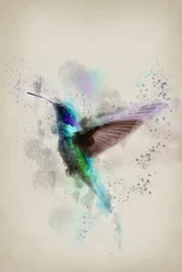 Colibri aux couleurs vives peint à l