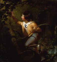 Nidification des oiseaux