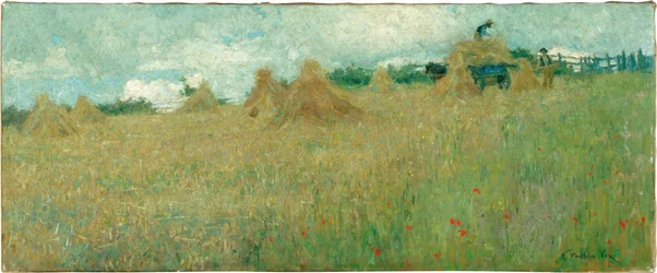 Le Champ de blé, vers 1900