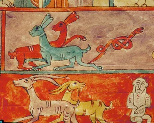 Les animaux à l