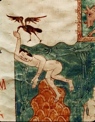 Corbeau ramassant un cadavre