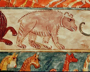 Un ours. D