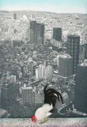 Coq de Jakucyu, 2009 (gravure)