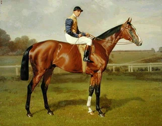 "Spearmint", vainqueur du Derby de 1906, 1906