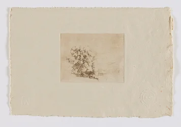 Connecticut Hillside (portefeuille fm.)