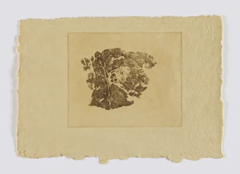 Étude sur les arbres (fm. portfolio)