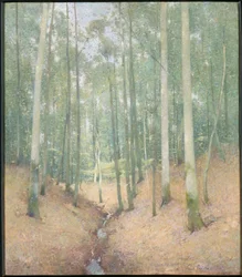 Intérieur en Bois