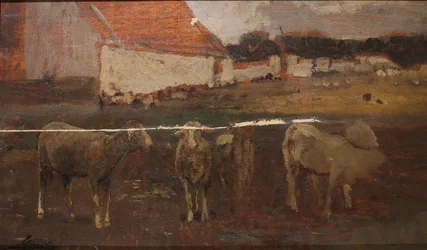 Paysage de village avec des moutons