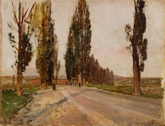 Allée de peupliers près de Plankenberg