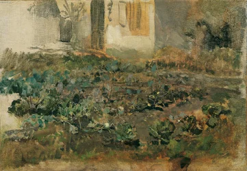 Champ de navets, vers 1888 (huile sur toile)