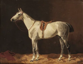 Un cheval gris sellé attendant dans une écurie