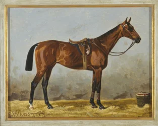 Cheval brun sellé