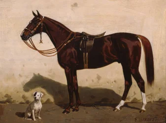 Renard sellé avec chien