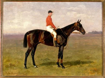 Cheval et cavalier