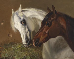 Deux têtes de cheval