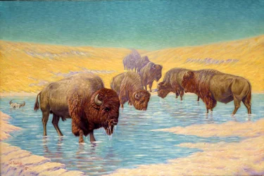 Scène Buffalo