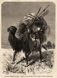 Un chameau émigrant mongol, transportant des provisions, divers ustensiles, tapis, couvertures et bois de la charpente de la tente, ainsi que de jeunes enfants dans des paniers suspendus. Dessin d