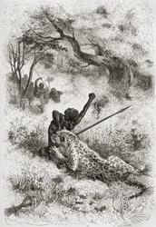 Un léopard attaquant un Africain, illustration de 