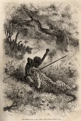Un léopard saute sur un homme et le mord cruellement dans le dos, dans les environs de Bambare (Congo), gravure d