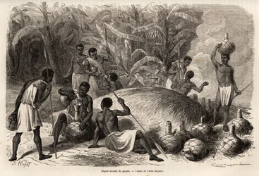 Dégustation du pombe (boisson alcoolisée par fermentation), dans le Karague (ouest du lac Victoria, dans l