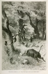 Déroute de l