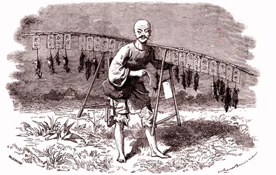 Tueur de rats en Chine. 1874 (gravure)