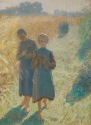 Jeunes filles dans le champ