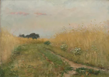 Paysage d