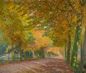 Allée ensoleillée