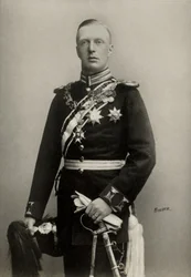 Portrait de Henri , Prince Consort de Hollande , Duc de Mecklembourg ( 1876