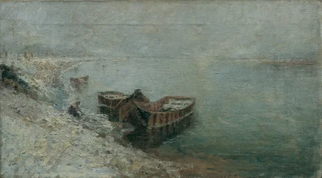 Bateaux de pêche sur la rive du Danube