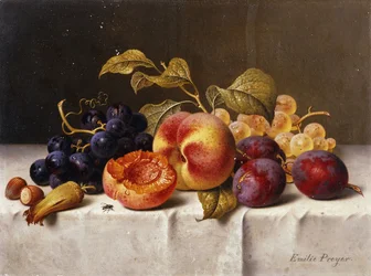 Raisins, Pêches, Prunes et Noix sur une Table Drapée