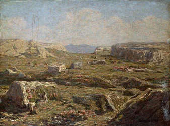Paysage rocheux