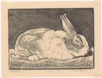 Lapin