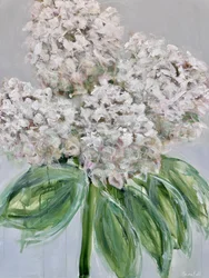 Hortensias blancs à l