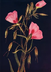 Adieu au printemps, vers 1915