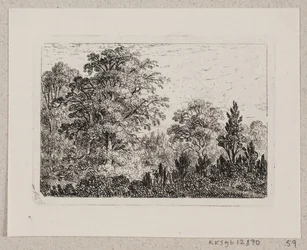 Paysage forestier
