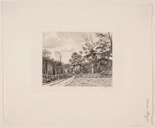 Paysage forestier