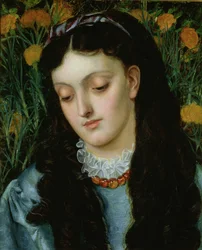 La Belle Giroflée