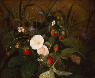 Fraises des bois, jacinthes et liseron sur une berge